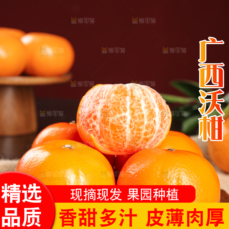 深底上的武鸣沃柑
