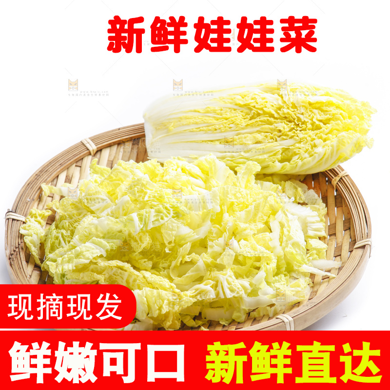 白底上的娃娃菜
