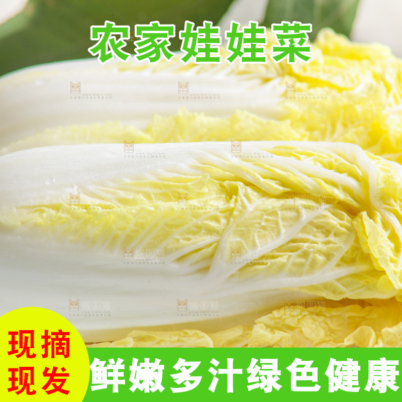 浅底上的娃娃菜