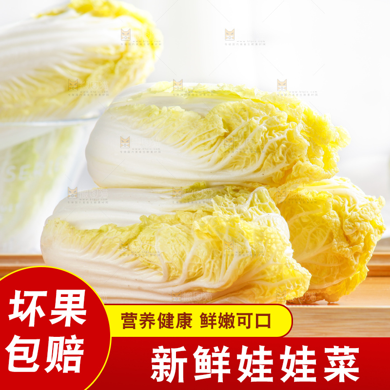 浅底上的娃娃菜