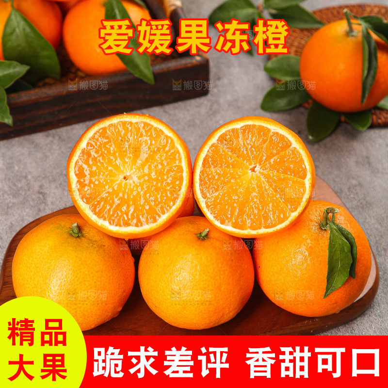 深底上的爱媛果冻橙