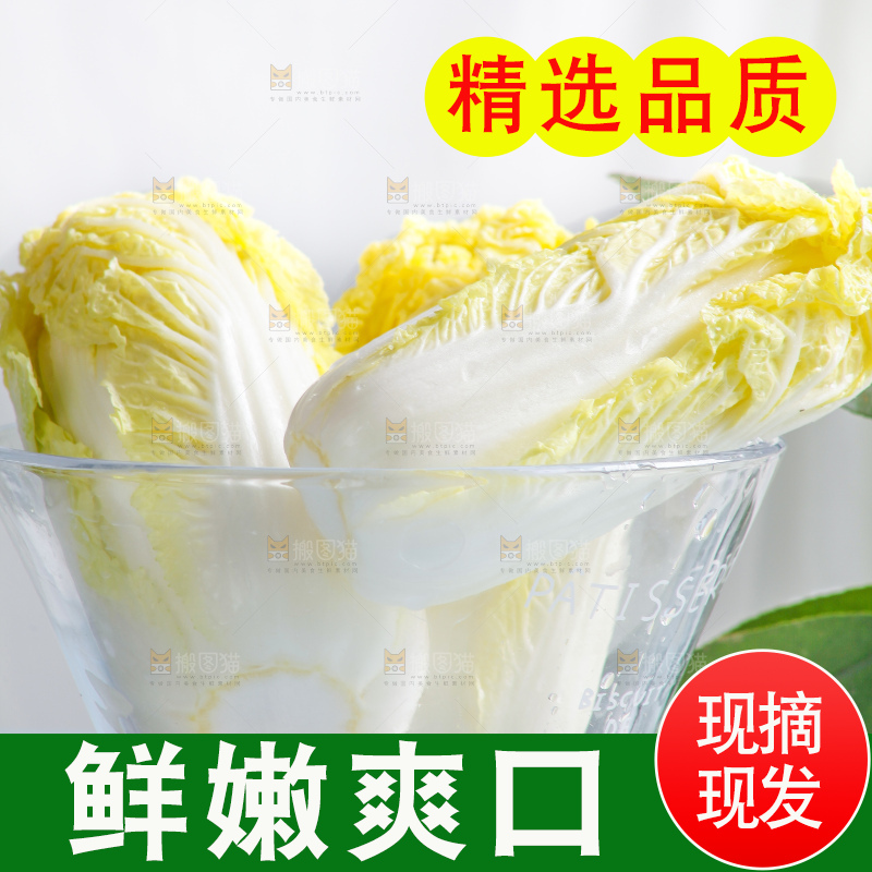 浅底上的娃娃菜