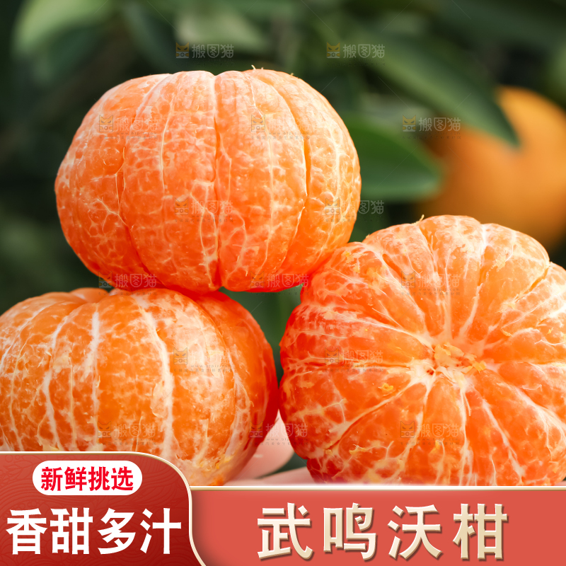 手里拿着新鲜沃柑