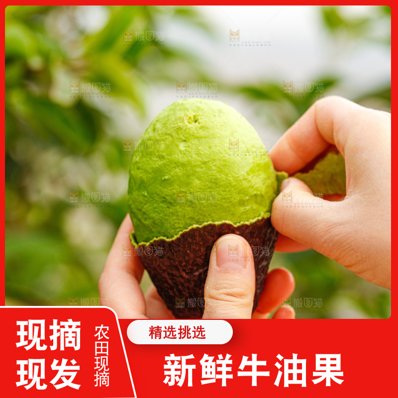 手里拿着巨无霸牛油果