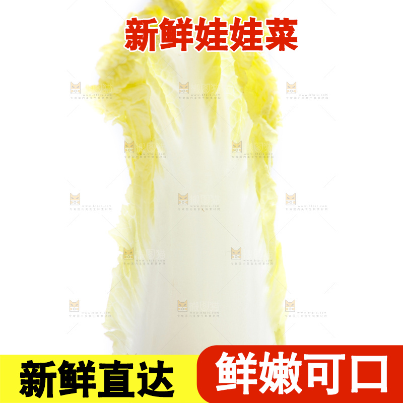 白底上的娃娃菜