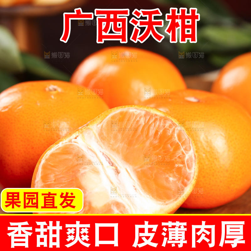 深底上的武鸣沃柑