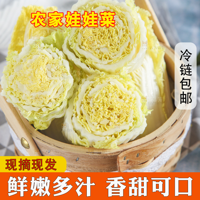 浅底上的娃娃菜