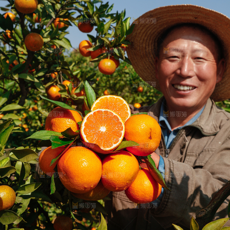 手里拿着新鲜蜜桔