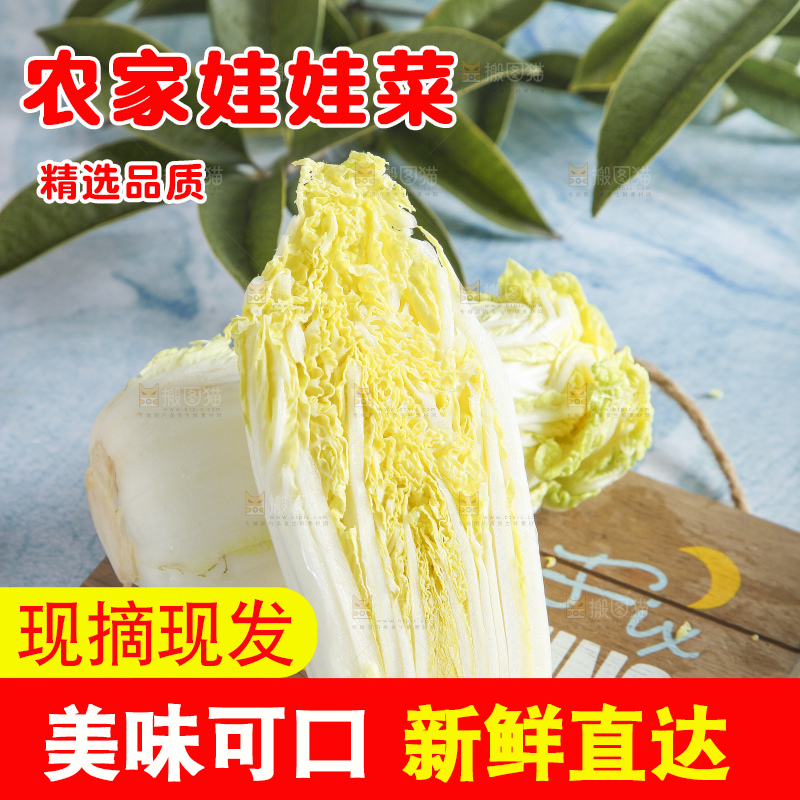 浅底上的娃娃菜