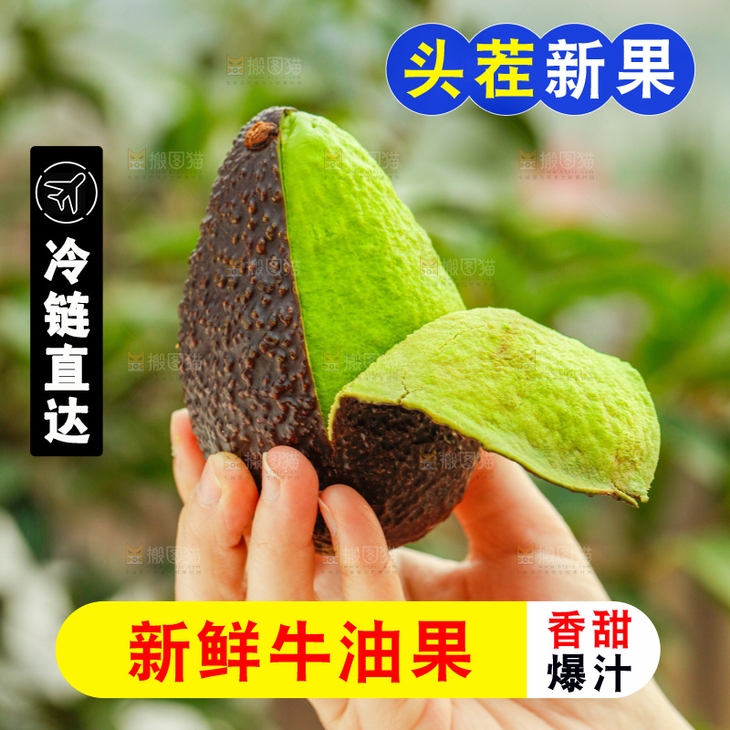 手里拿着巨无霸牛油果