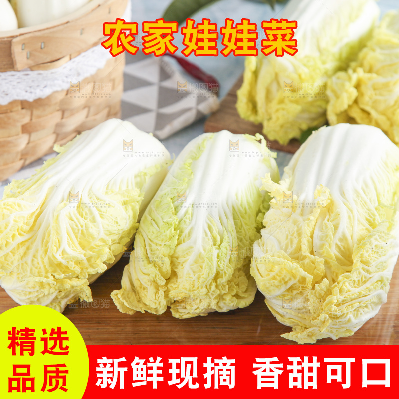 浅底上的娃娃菜