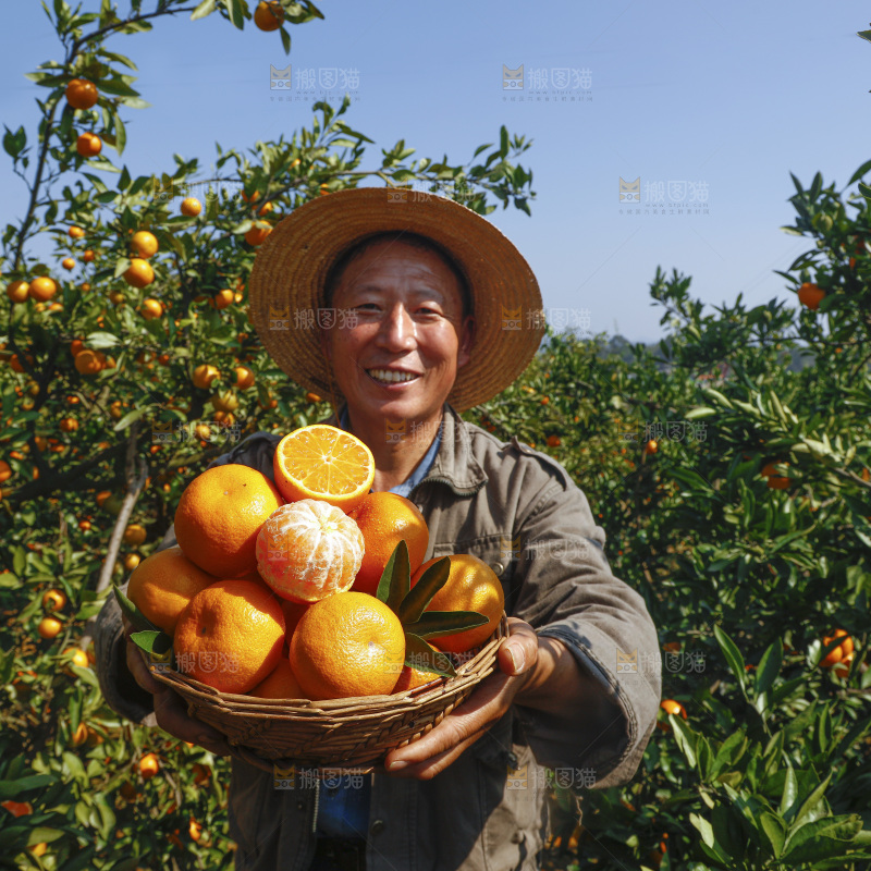 手里拿着新鲜蜜桔