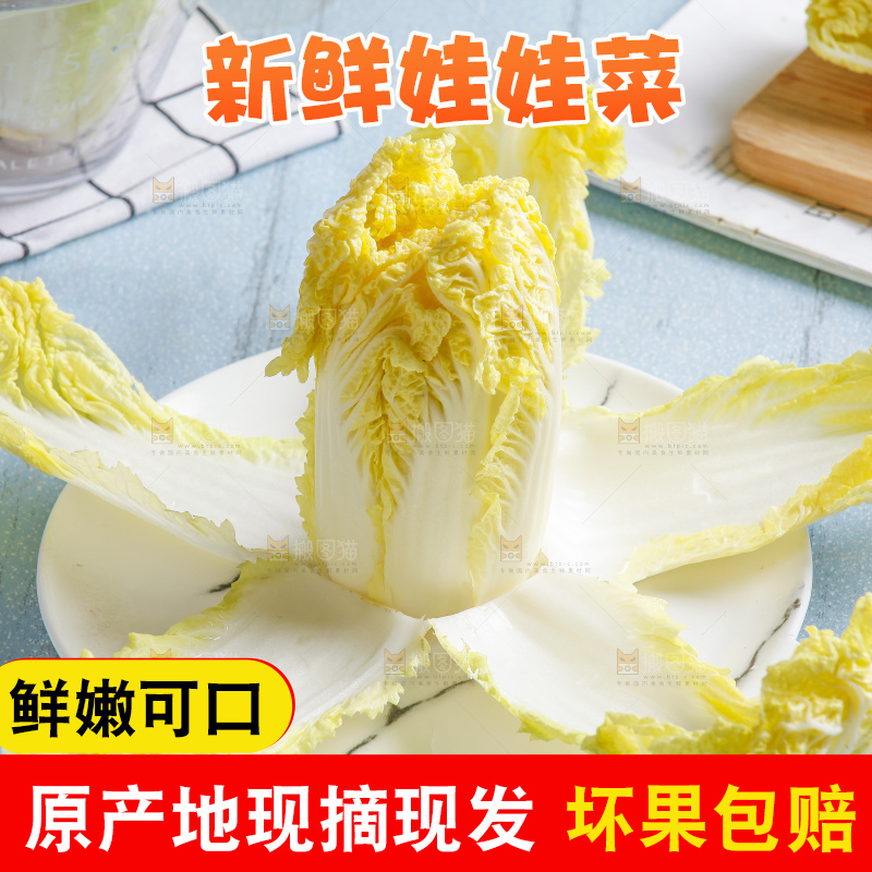 浅底上的娃娃菜