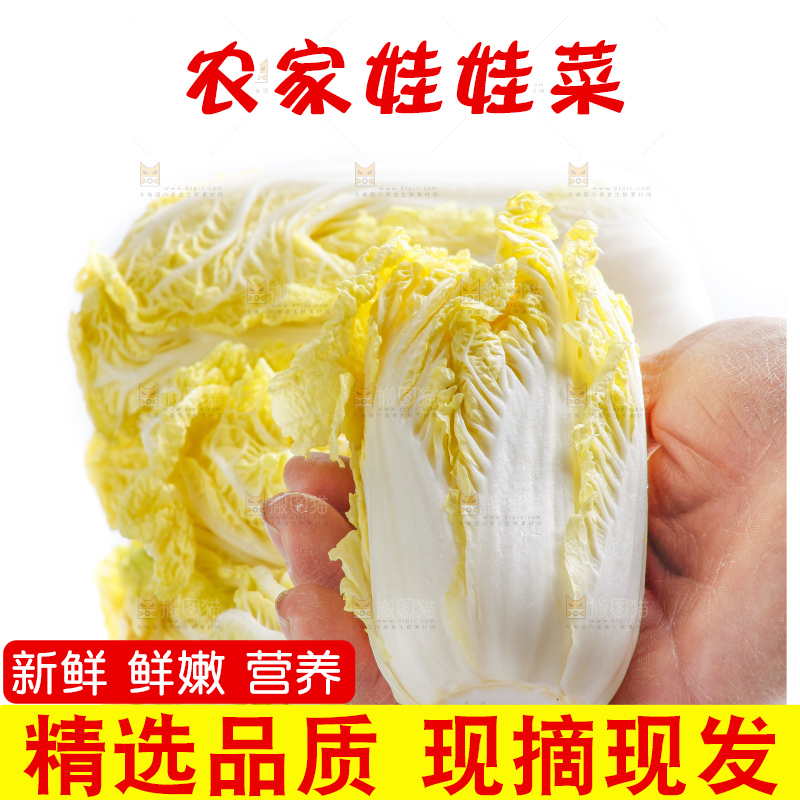 白底上的娃娃菜