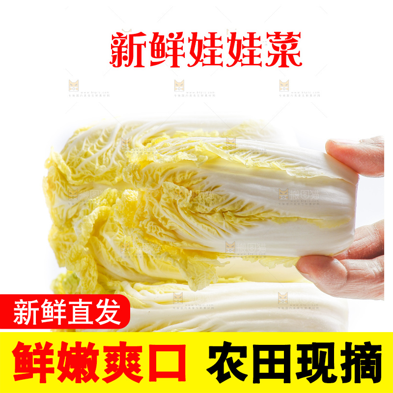 白底上的娃娃菜
