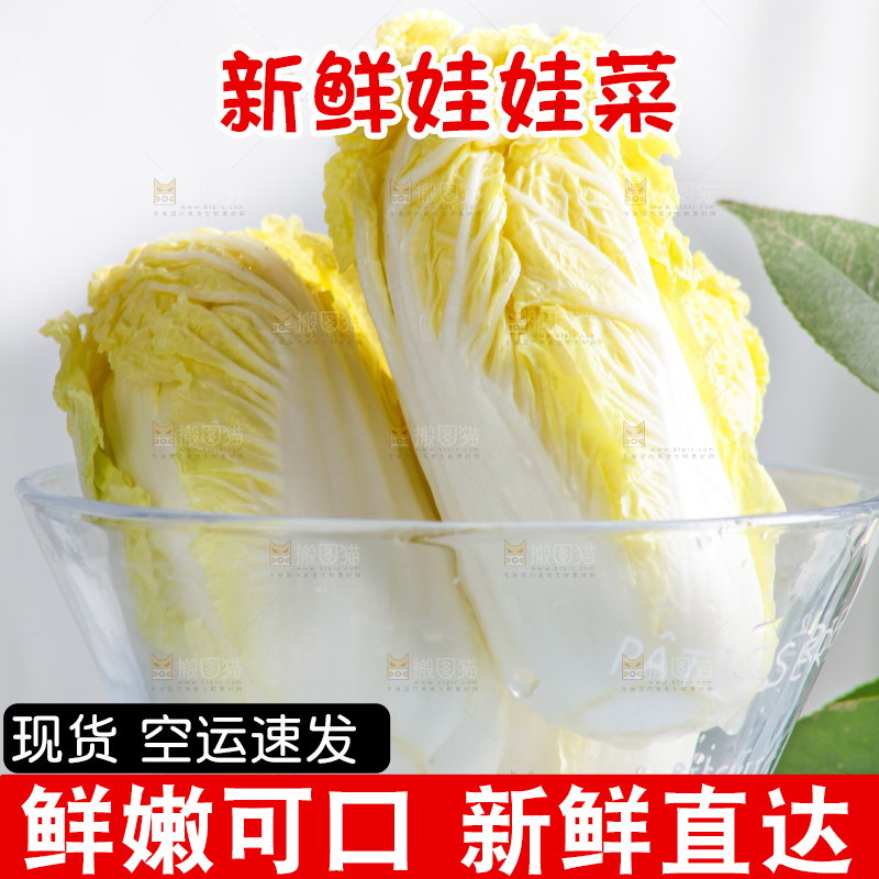 浅底上的娃娃菜