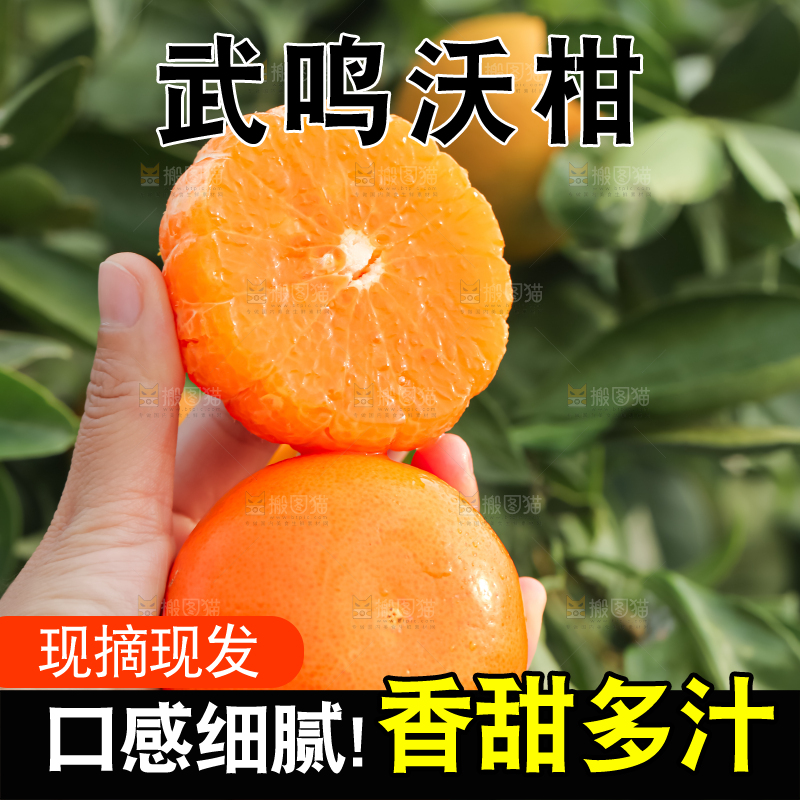 手里拿着新鲜沃柑