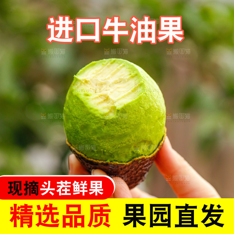 手里拿着巨无霸牛油果