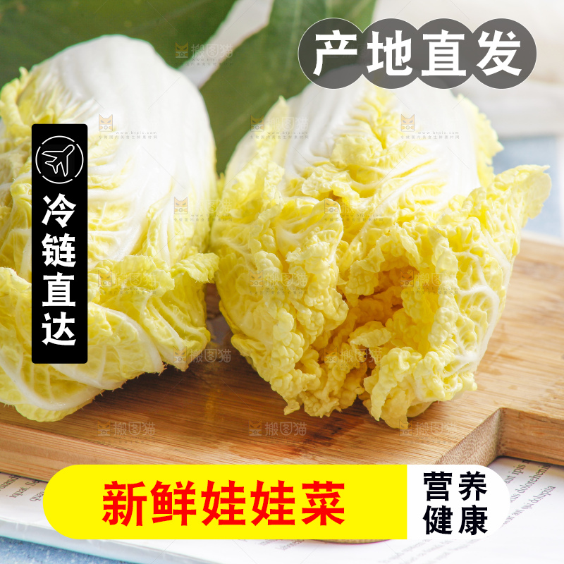 浅底上的娃娃菜