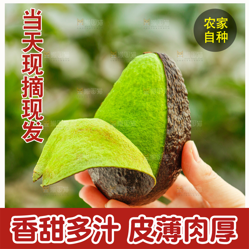 手里拿着巨无霸牛油果