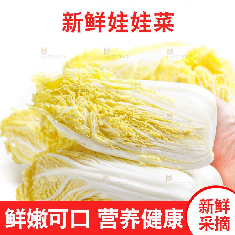 白底上的娃娃菜
