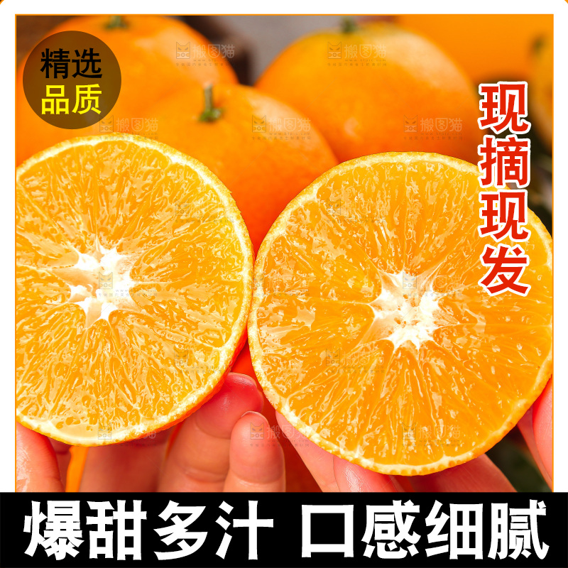 深底上的爱媛果冻橙