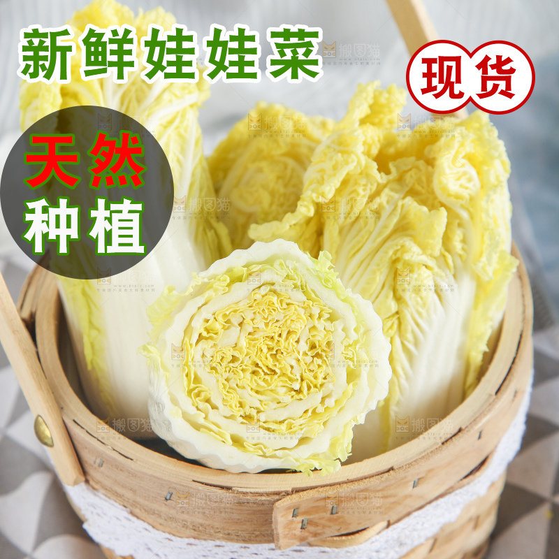 浅底上的娃娃菜
