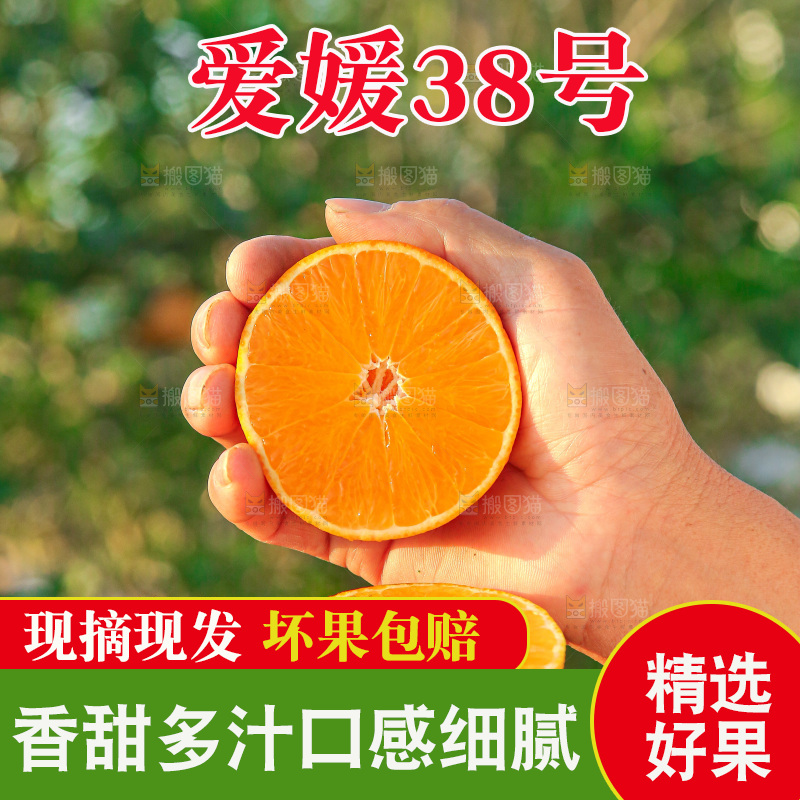 手里拿着爱媛果冻橙