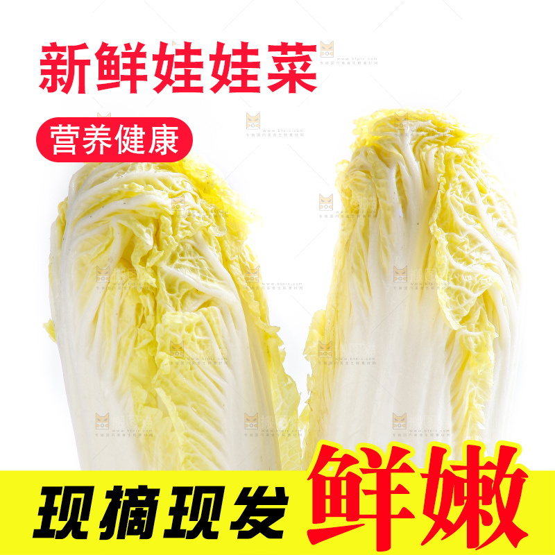 白底上的娃娃菜