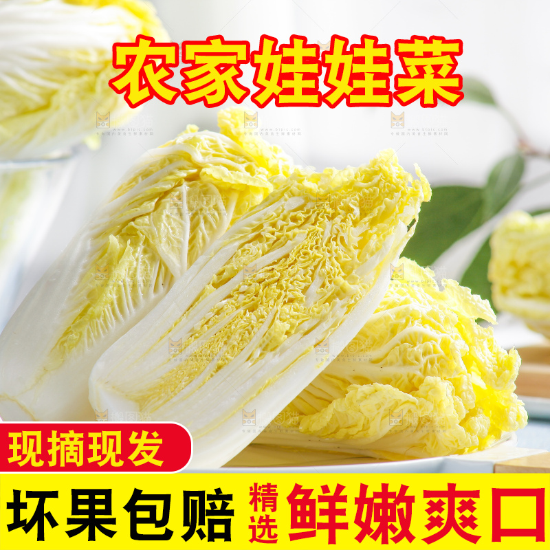 浅底上的娃娃菜