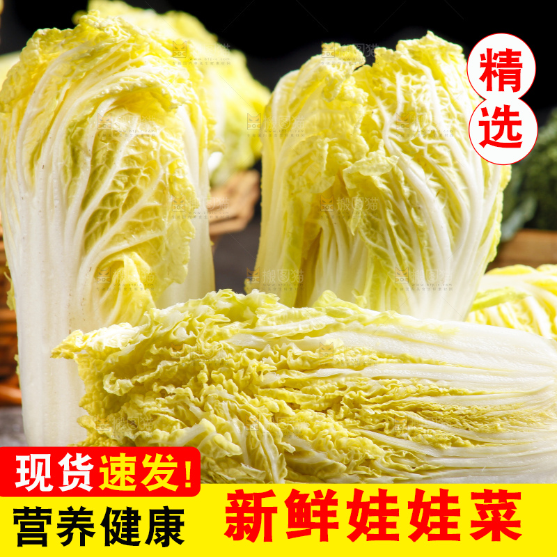 深底上的娃娃菜