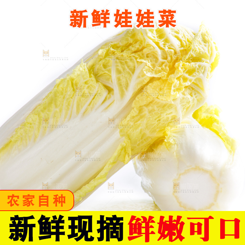 白底上的娃娃菜