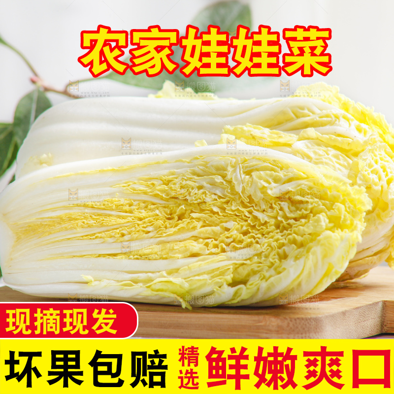 浅底上的娃娃菜