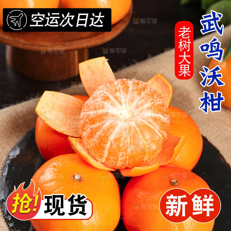 深底上的武鸣沃柑