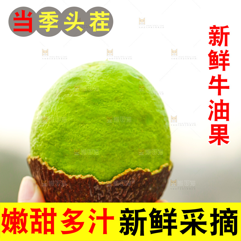 手里拿着巨无霸牛油果
