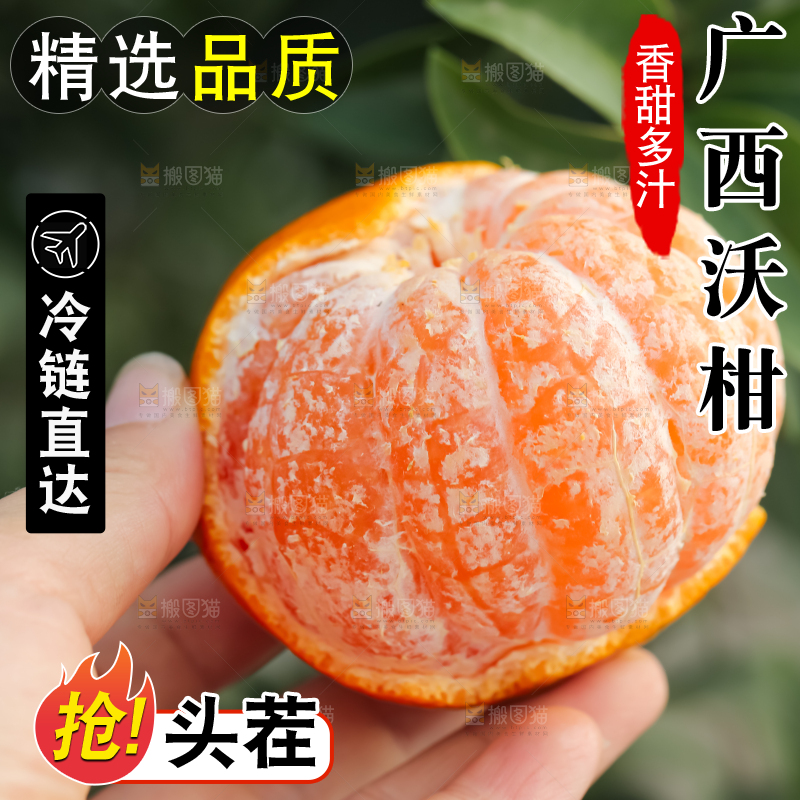 手里拿着新鲜沃柑