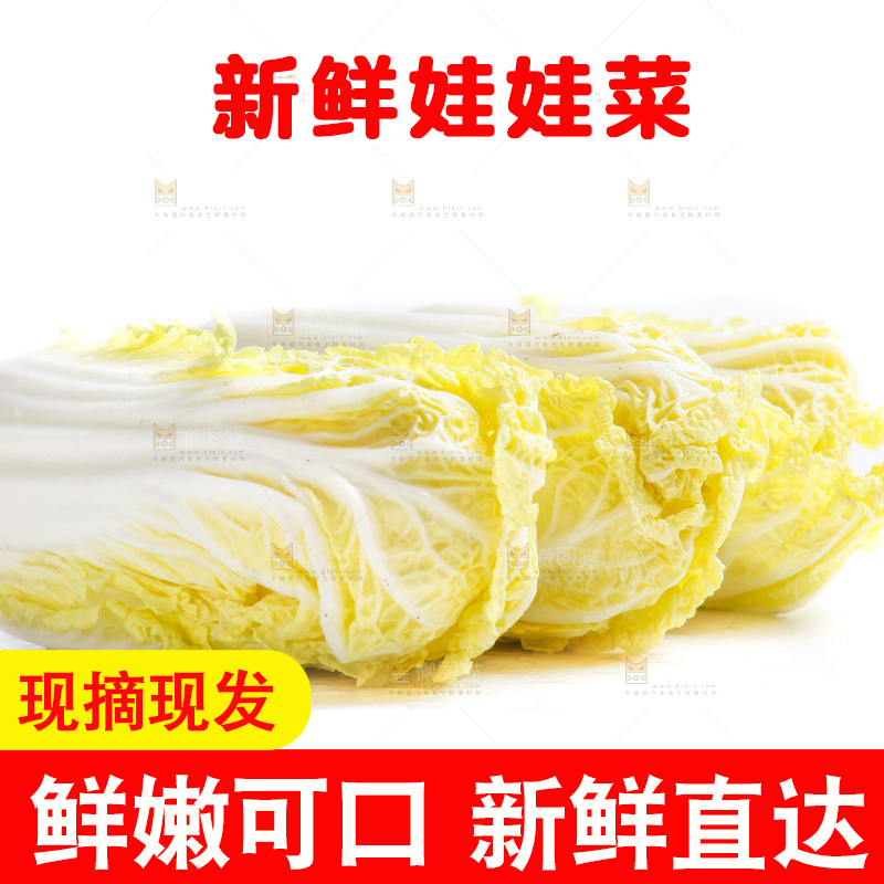 白底上的娃娃菜