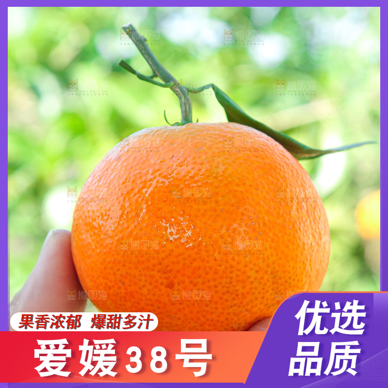 手里拿着爱媛果冻橙