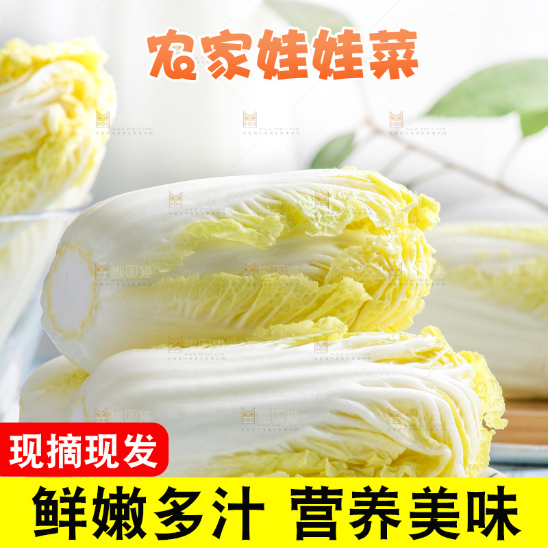 浅底上的娃娃菜