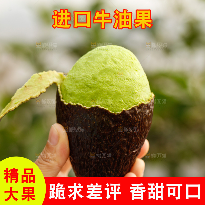手里拿着巨无霸牛油果