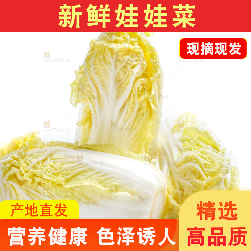 白底上的娃娃菜