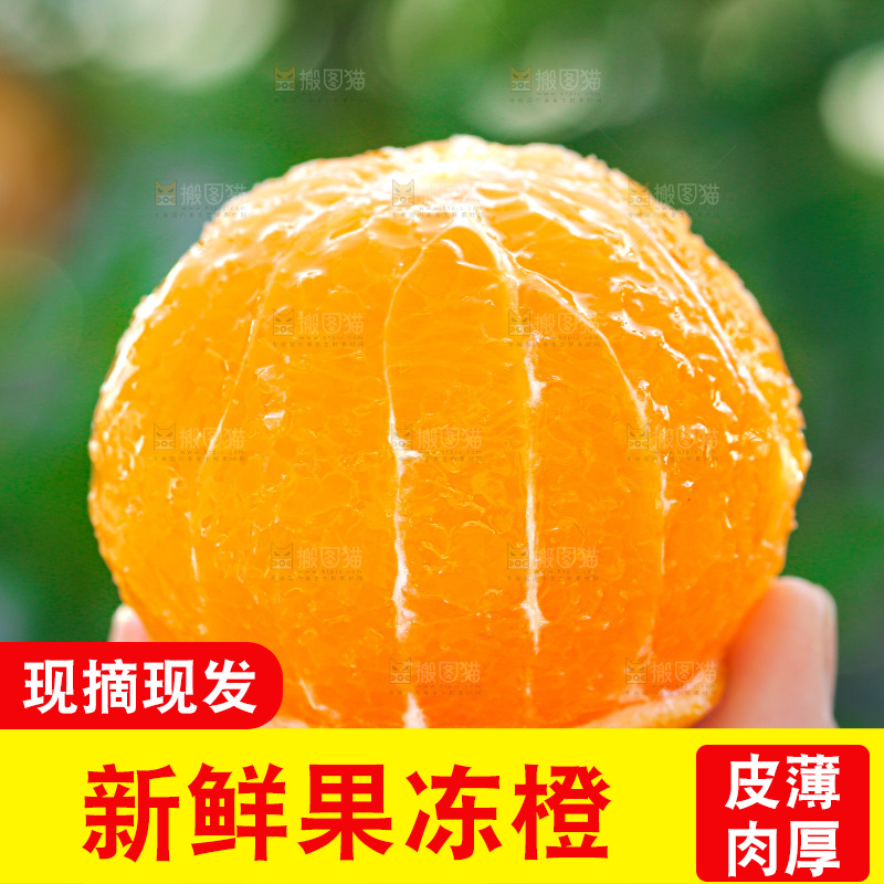 手里拿着爱媛果冻橙