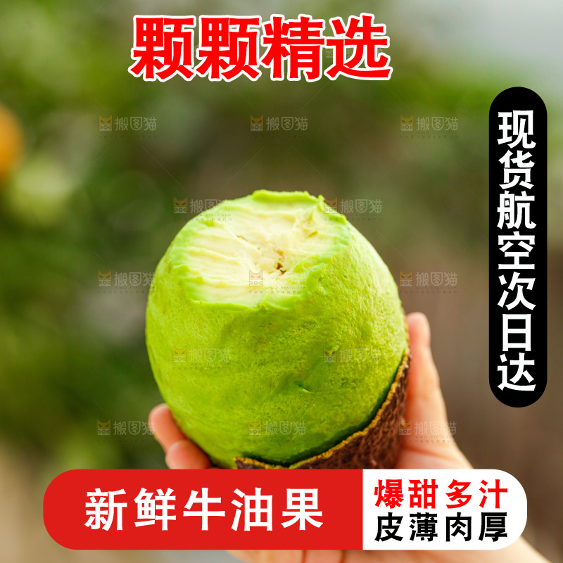 手里拿着巨无霸牛油果