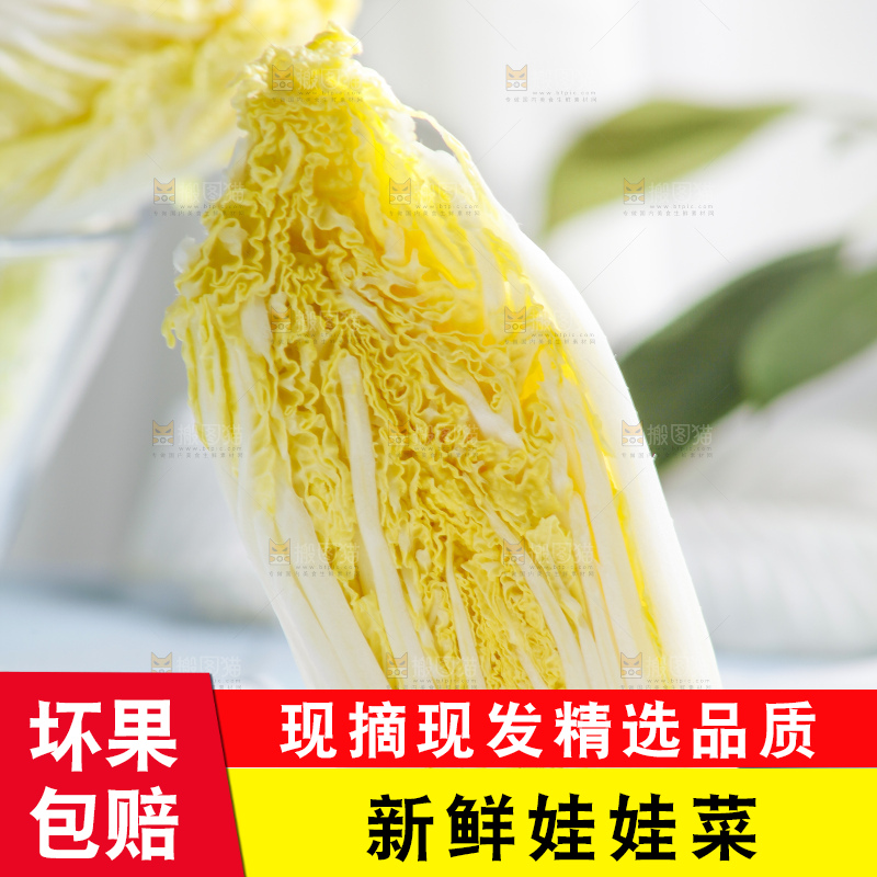 浅底上的娃娃菜