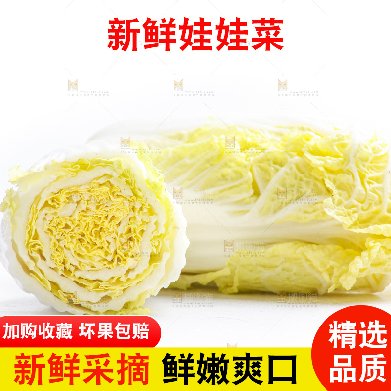 白底上的娃娃菜