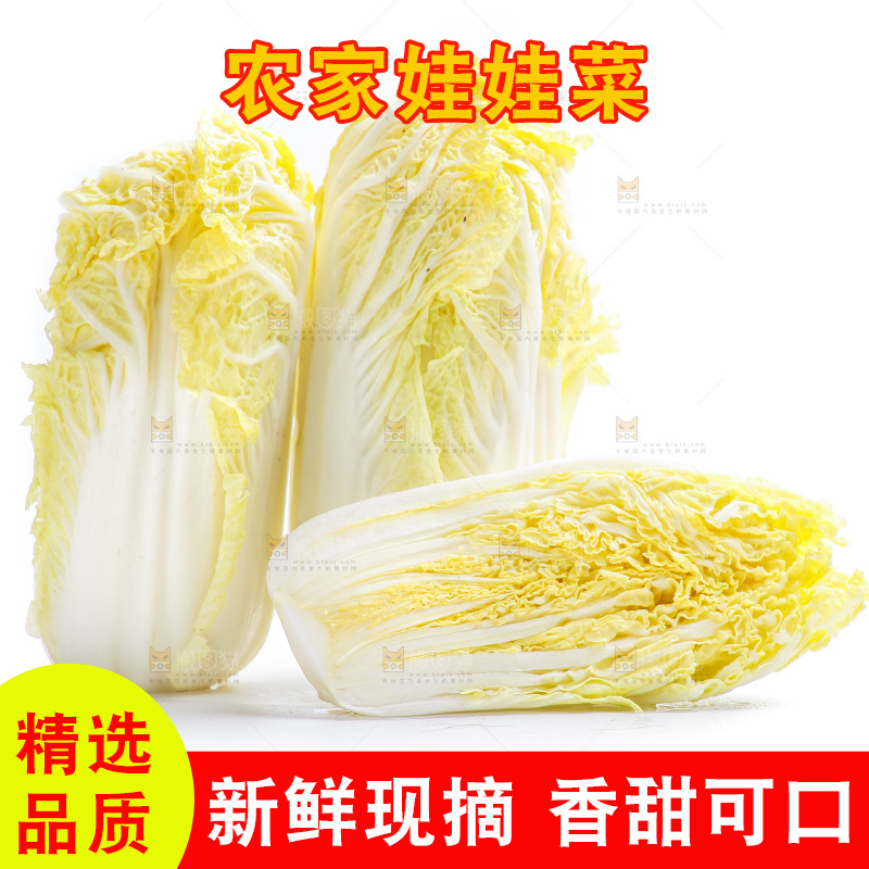 白底上的娃娃菜