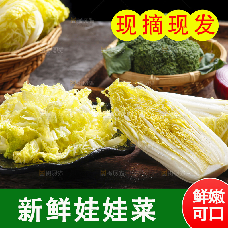 深底上的娃娃菜