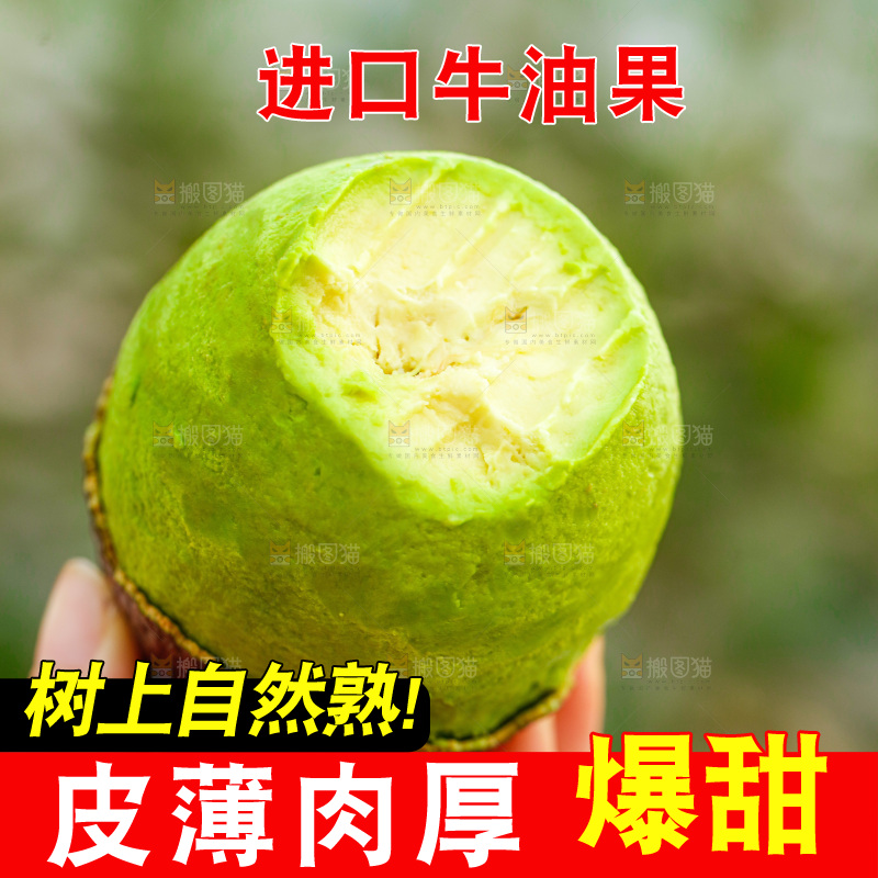 手里拿着巨无霸牛油果