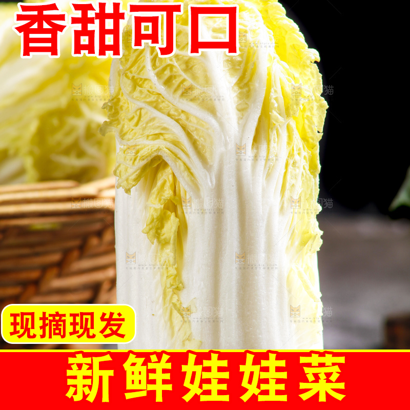 深底上的娃娃菜