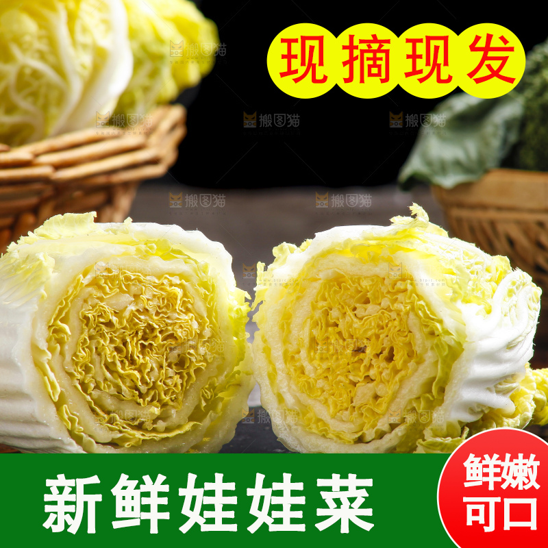 深底上的娃娃菜